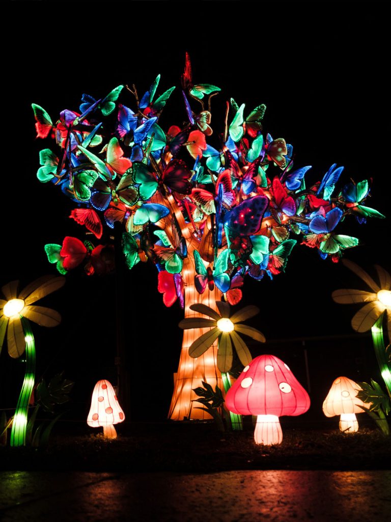 Asian Lantern Festival Into the Wild at the Central Florida Zoo