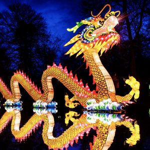 Asian Lantern Festival: Into the Wild, presented by Publix, returns for 5th year at Central Florida Zoo & Botanical Gardens